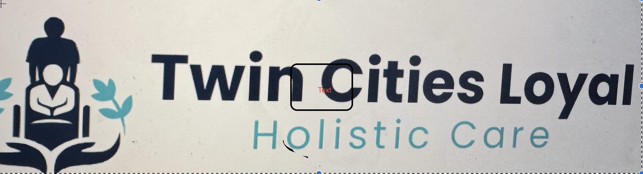 Twincities Loyal Holistic Care logo